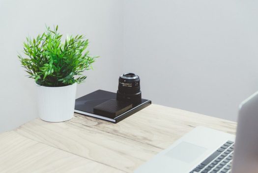a small plant on a table with a laptop, black notebook, and camera lens