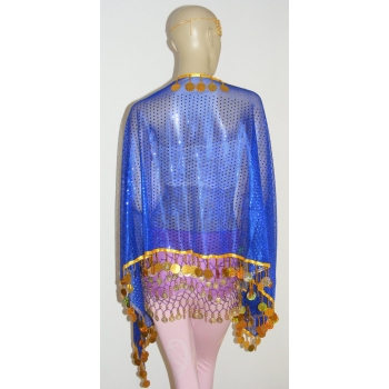 Hanging piece veil Scarf for belly dance-2color